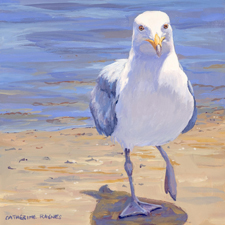 � Catherine Raynes